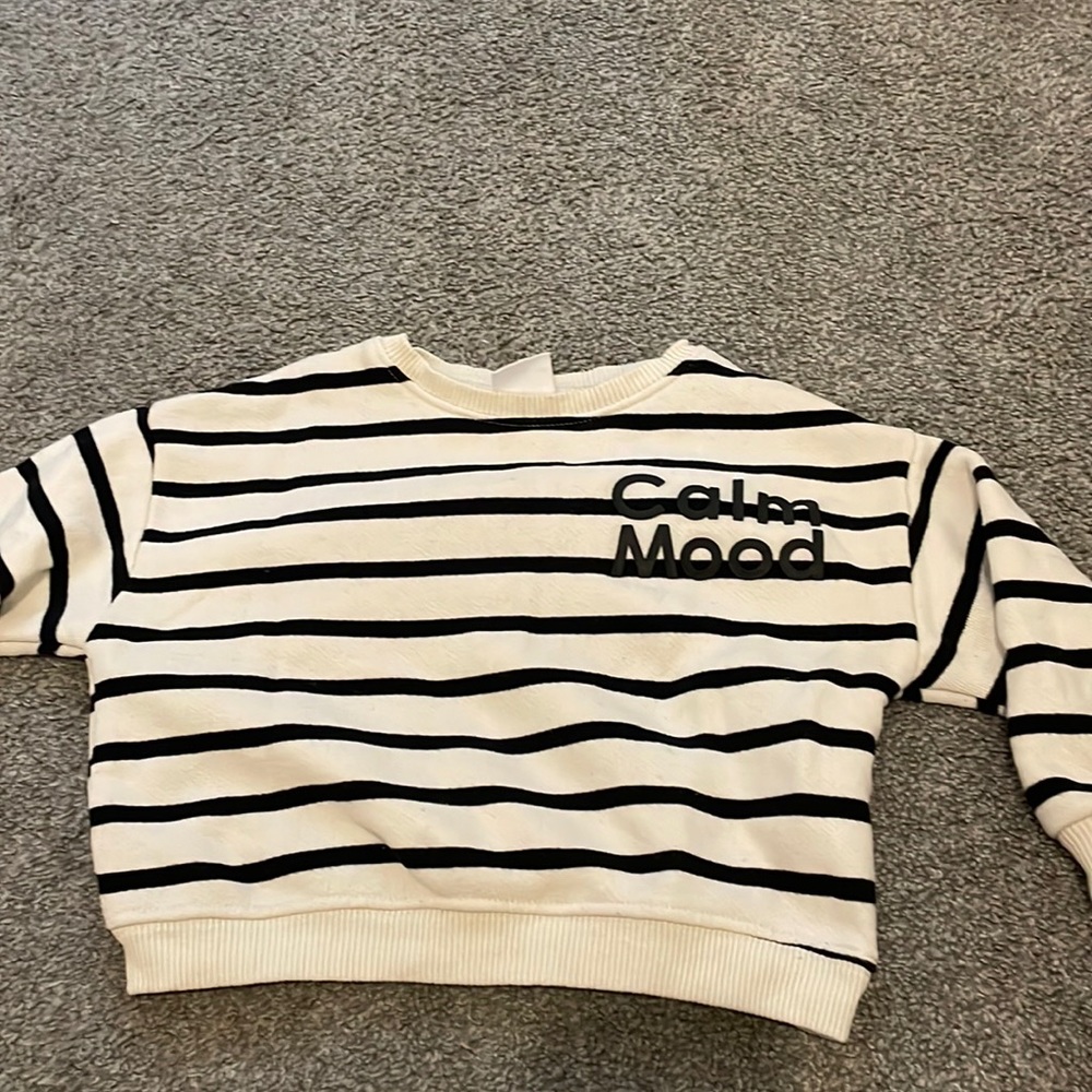 Zara toddler sweatshirt